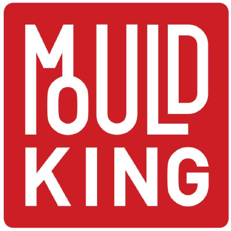 MOULD KING